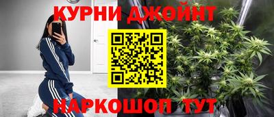 стафф Будённовск
