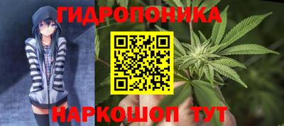 стафф Будённовск